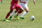 Pallone