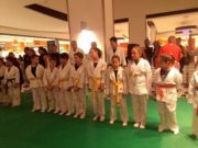 Esibizione di arti marziali