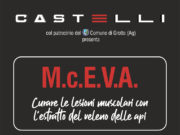 Convegno a Grotte: come curare le lesioni muscolari con l’estratto del veleno delle api”.