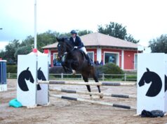 Equitazione. Nadia Vizzini, la passione per lo sport e l’amore per i cavalli